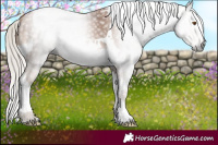 Horse Color:Gray Silver Black Pearl Tobiano 