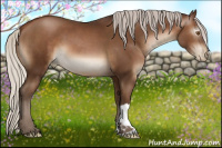 Horse Color:Gray Silver Black Pearl 