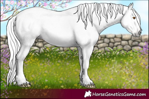 Horse Color:Gray Silver Black Pearl Frame 