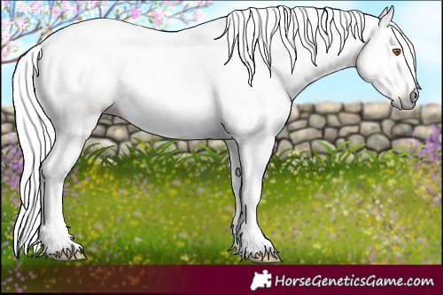 Horse Color:Gray Silver Black Pearl Tobiano