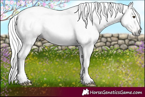 Horse Color:Gray Silver Black Pearl Tobiano 