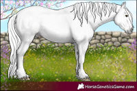 Horse Color:Gray Silver Black Pearl Tobiano 