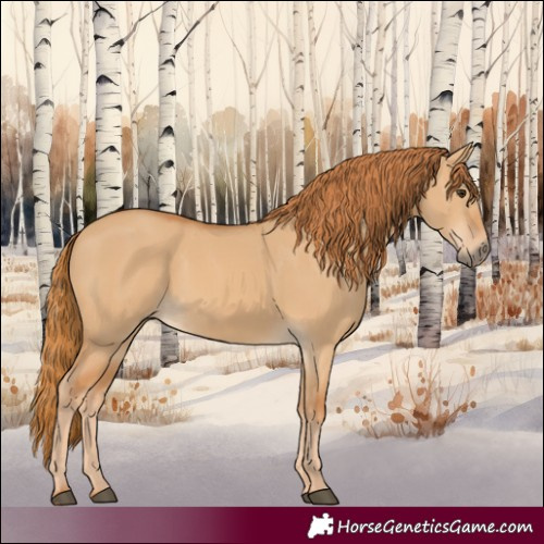 Horse Color:Red Dun