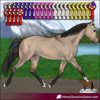 Horse Color:Bay Dun