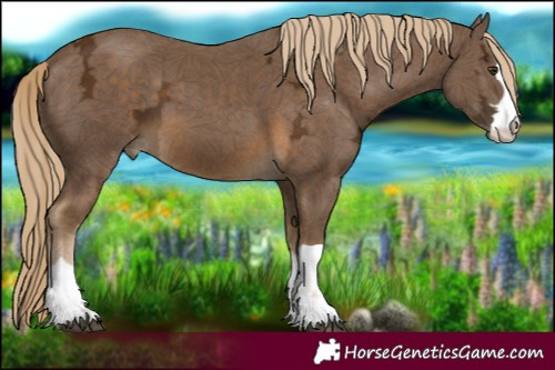Horse Color:Chocolate Palomino Ice