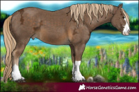 Horse Color:Chocolate Palomino Ice