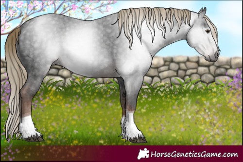 Horse Color:Gray Liver Chestnut Ice Tobiano