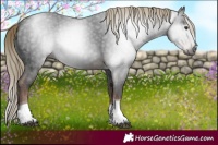 Horse Color:Gray Liver Chestnut Ice Tobiano 