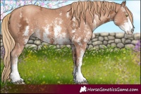 Horse Color:Gold Champagne Ice Sabino