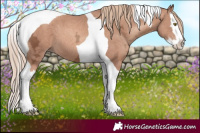 Horse Color:Gold Champagne Ice Splash Tobiano 