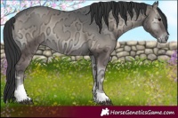 Horse Color:Blue Onyx Ice Tobiano Rabicano 