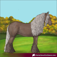 Horse Color:Silver Black 