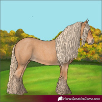 Horse Color:Red Roan 
