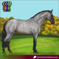 Horse Color:Brown Roan