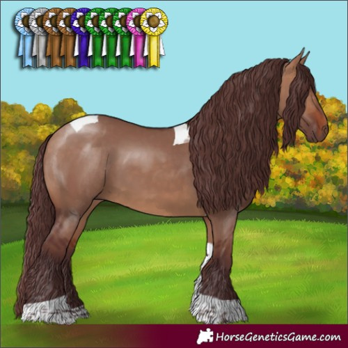 Horse Color:Chocolate Bay Dun Tobiano 