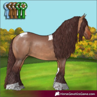 Horse Color:Chocolate Bay Dun Tobiano 