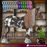 Horse Color:White Spotted Liver Chestnut