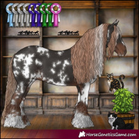 Horse Color:White Spotted Liver Chestnut 