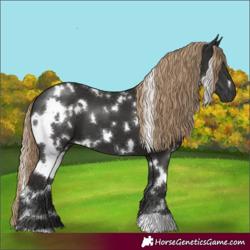 Horse Color:White Spotted Liver Chestnut