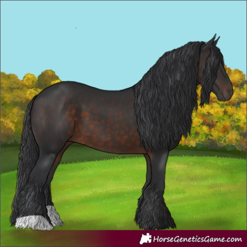 Horse Color:Brown 
