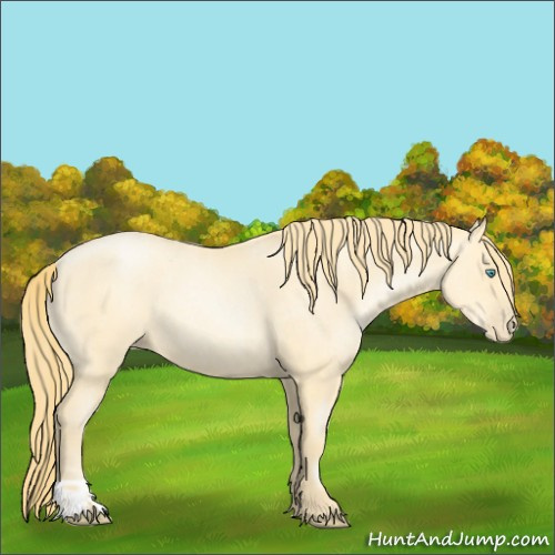 Horse Color:Buckskin Roan Pearl and Buckskin Roan Pearl
