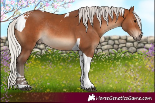 Horse Color:Silver Brown Tobiano Rabicano 