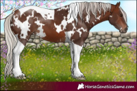 Horse Color:White Spotted Silver Brown Tobiano 