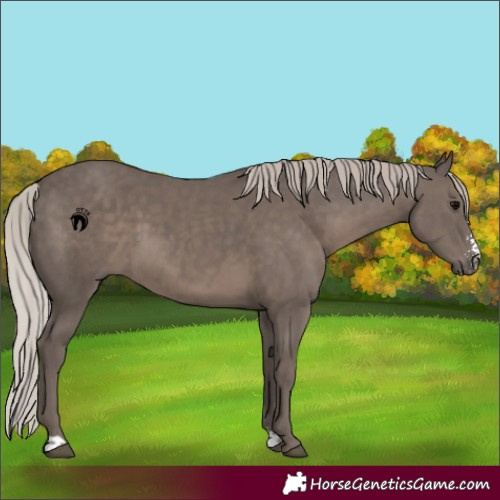 Horse Color:Silver Black Sabino