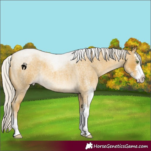 Horse Color:Silver Classic Cream Champagne Roan Sabino 