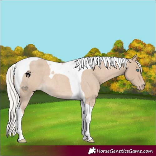 Horse Color:Silver Smoky Creme Roan Tobiano 