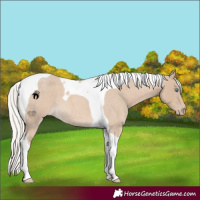 Horse Color:Silver Smoky Creme Roan Tobiano 