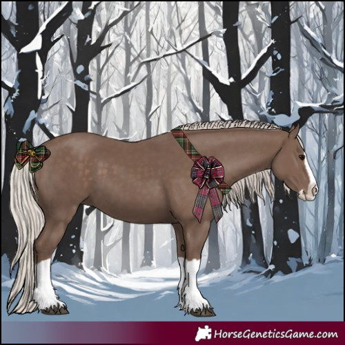 Horse Color:Silver Black Splash 