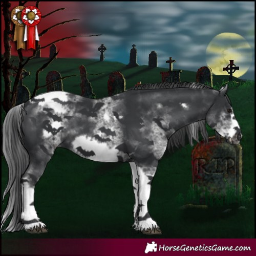 Horse Color:White Spotted Black Tobiano Frame 