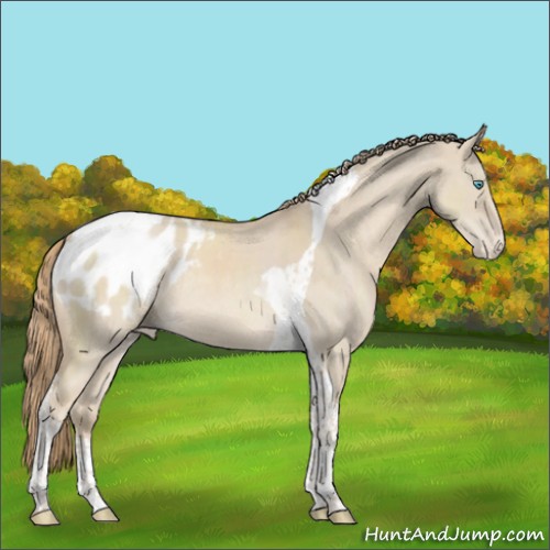 Horse Color:Smoky Creme Dun Tobiano Blanket Rabicano 