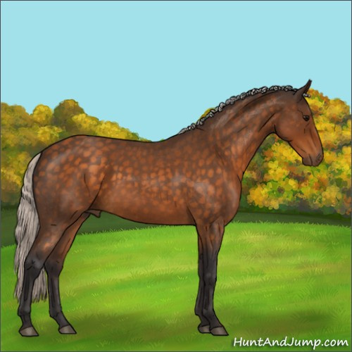 Horse Color:Silver Buckskin Roan 