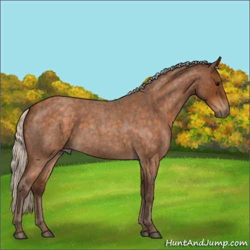 Horse Color:Silver Buckskin Roan 