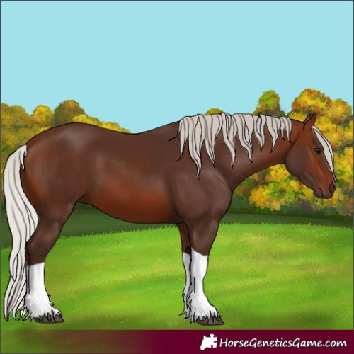 Horse Color:Silver Brown Tobiano 