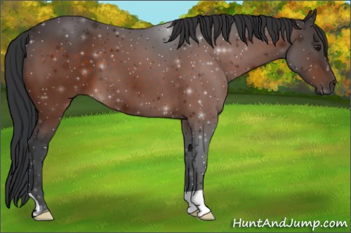 Horse Color:Brown 