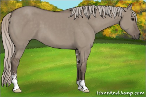 Horse Color:Silver Grullo Sabino 