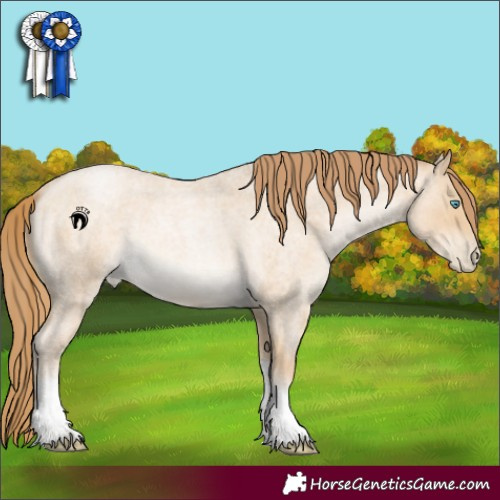 Horse Color:Buckskin Roan Pearl Tobiano 