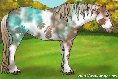 Horse Color:White Spotted Chestnut Frame 
