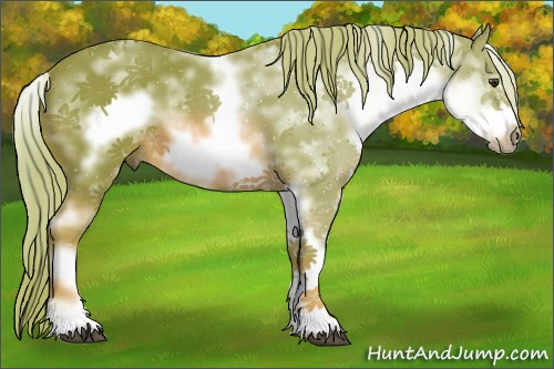 Horse Color:Watercolor White Spotted Chestnut Frame 