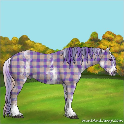 Horse Color:Watercolor Plaid  White Spotted Black 