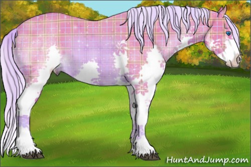 Horse Color:Watercolor Plaid  Chestnut Sabino Splash 