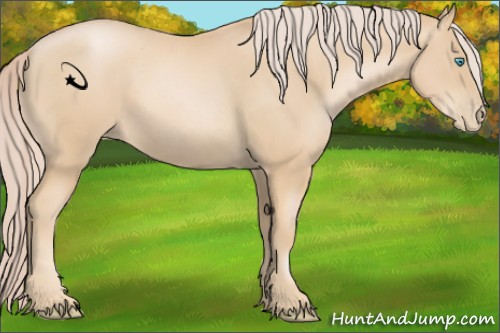 Horse Color:Palomino Pearl Sabino