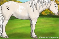 Horse Color:White Spotted Cremello 
