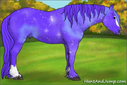 Horse Color:Watercolor Black Sabino 