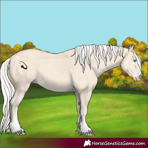 Horse Color:White Spotted Cremello Tobiano 