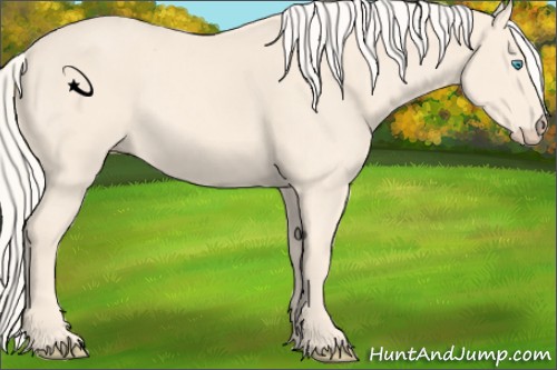 Horse Color:Cremello Sabino 