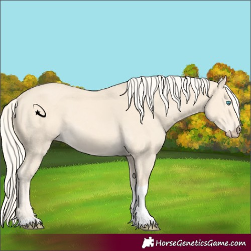 Horse Color:Cremello Tobiano